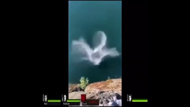 Coach falling смотреть онлайн