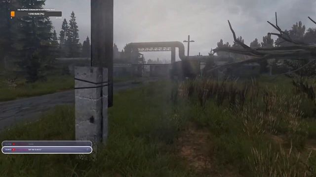 Стрим #15 DayZ STALKER NEW STORY [CLEAR SKY] смотреть онлайн