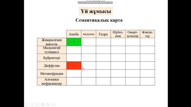 Анимацияланған семантикалық карта смотреть онлайн