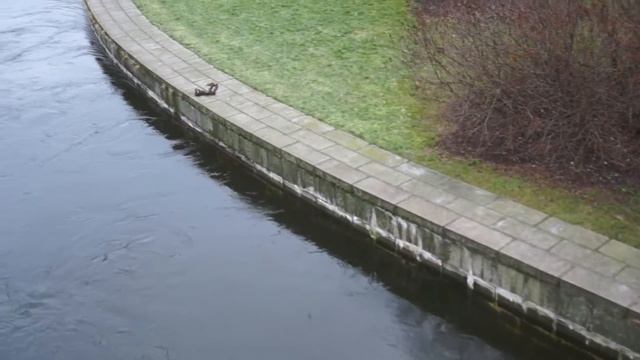 Nils's Stockholm смотреть онлайн
