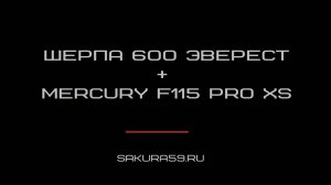 Шерпа 600 Эверест с мотором Mercury F115 ProXS