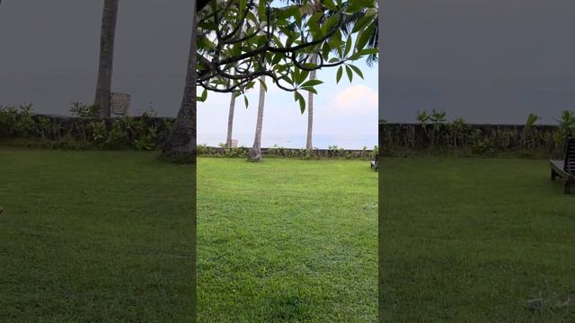 2024 Bali Yoga Connection Retreat Venue Gaia смотреть онлайн