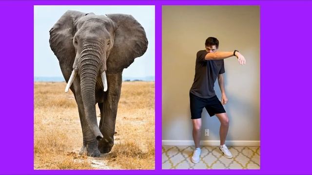 Kids Movement Breaks Act it out Animals смотреть онлайн