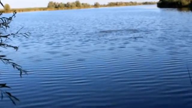 Успех значт УСПЕТЬ смотреть онлайн