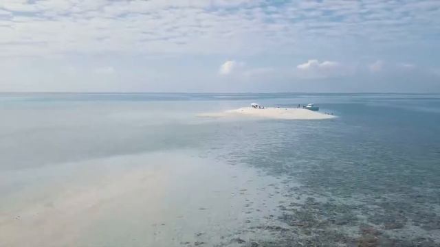 Yoga Retreat with Inner Seed at Season Paradise смотреть онлайн