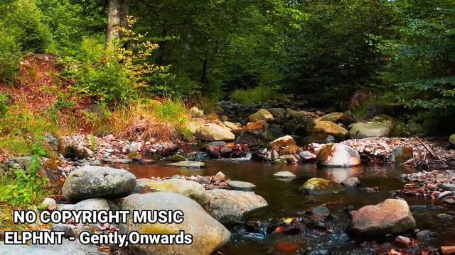 ELPHNT - Gently, Onwards