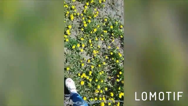 Гуляем смотреть онлайн