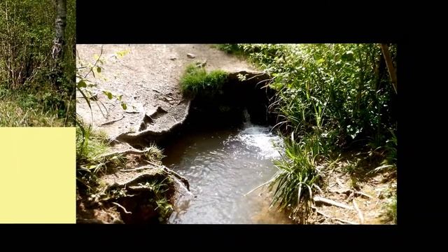Uffmore Wood Worcestershire смотреть онлайн