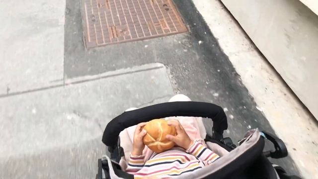 Австрия, Вена🇦🇹||прошу у прохожих деньги, все пошло немного не по плану🤦🏻♀️добираемся в Украину смотреть онлайн