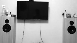 Visaton W170s & DT-94 plays electronics