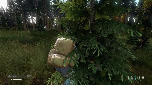 DayZ ps4 нубовый бобик! смотреть онлайн