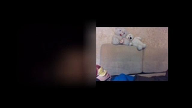Особый Случай смотреть онлайн