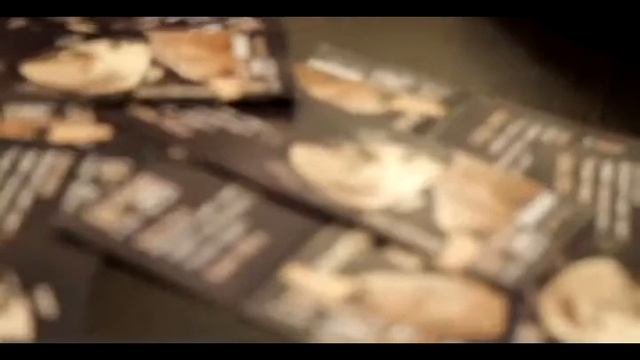 Видеоприглашение на Casus Show LasT LiFe Веся,Сахаров Илья,Emitone смотреть онлайн