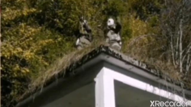 Чики брики (Maras Shakur)