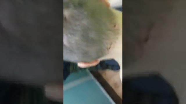 Реабилитация в Клинике иглотерапии Доктора Кима в Трускавце смотреть онлайн