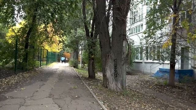 Около школы в Саратове собираются снести деревья под пристройку смотреть онлайн