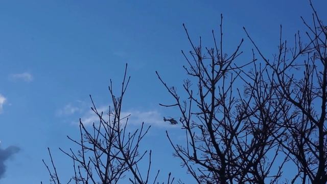 helicopter arrived. so, spring is coming up смотреть онлайн