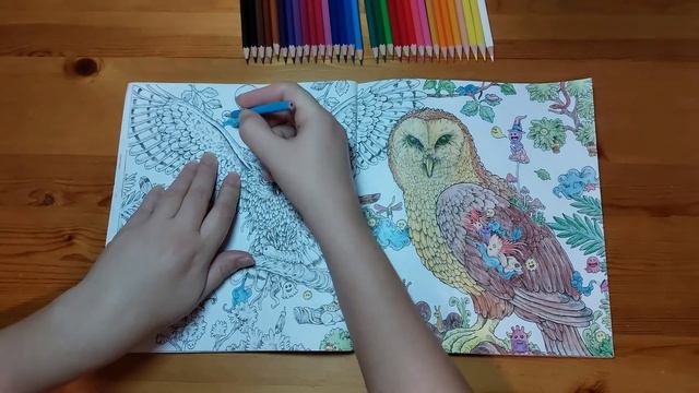 РАСКРАСКА АНТИСТРЕСС - СОВА/ ANTISTRESS COLORING PAGE - OWL/RELAXATION VIDEO 13 смотреть онлайн