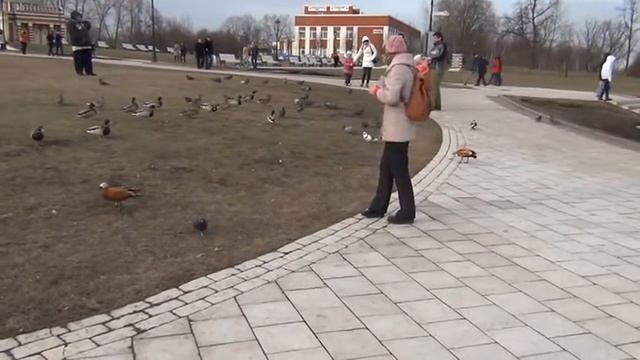 Уточек кормят в Царицыно Маша с Денисом 01 смотреть онлайн