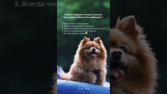 А что бы выбрали вы?