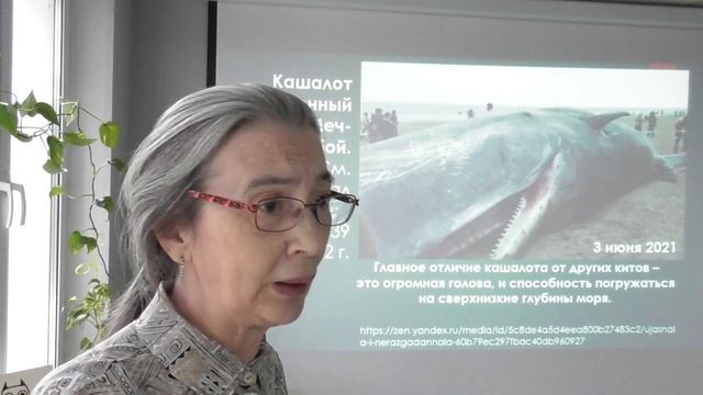 Досужие пренебрежения Философии. По материалам Русака Л.В. Гаврилова Елена Анатольевна смотреть онлайн