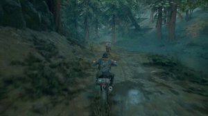 Days Gone -Жизнь После  обзор