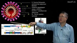Дубынин В.А. - 100 часов школьной биологии - 2.8. Вирусы