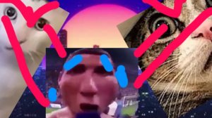 Коты против, мемов, 1 серия. Знакомство