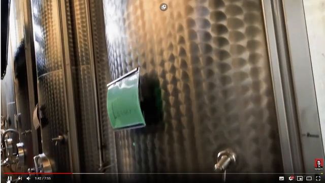 Столыпин жестко про Гоблина Пучкова. (Фетишист) смотреть онлайн