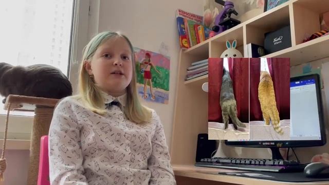 Проект "Кот или кошка? Особенности характера", Дьяченко Дарья, 4А класс, ГБОУ СОШ №693 смотреть онлайн