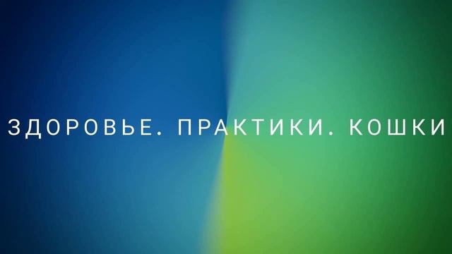 Частный просмотр. Здоровье. Практики. Кошки (28.06.2023) #ченнелинг #регрессивныйгипноз #здоровье смотреть онлайн