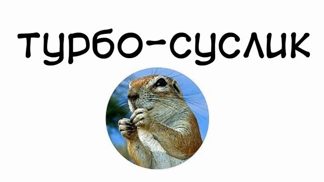 ТУРБО СУСЛИК смотреть онлайн