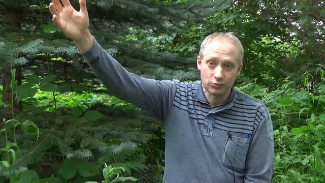 Акцент ТВ. В.В. Рыбаков. ГИЛЬДИОННЫЕ ПРОФЕССИОНАЛЬНЫЕ СООБЩЕСТВА.НОВАЯ РЕАЛЬНОСТЬ смотреть онлайн