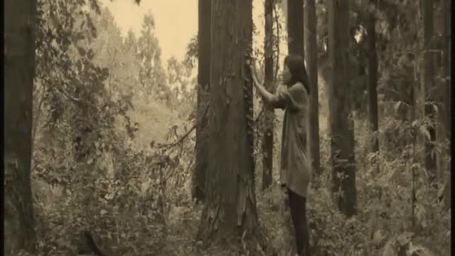 Where Did You Sleep Last Night? (Lead Belly Cover) смотреть онлайн