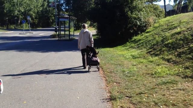 woman and cat смотреть онлайн