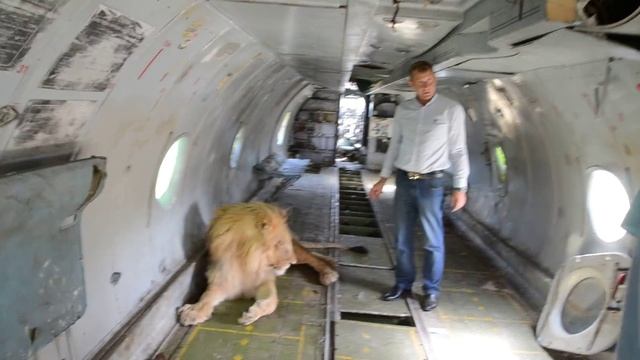 Встреча фанатов и ЗВЕЗДЫ состоялась ! смотреть онлайн