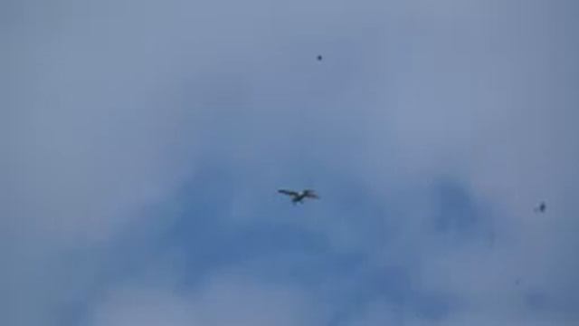 airplane смотреть онлайн