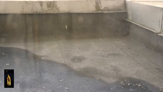 Голохвостые питомцы. смотреть онлайн
