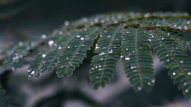 3 hours of relaxing music | 3 часа Расслабляющей музыки смотреть онлайн