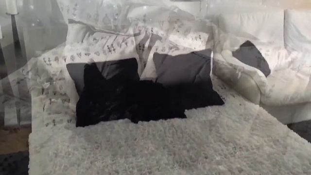 ROOM TOUR // БЮДЖЕТНАЯ СМЕНА ИНТЕРЬЕРА смотреть онлайн