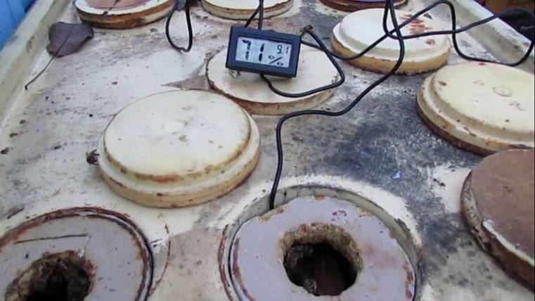 пчеловодство на ячейке 4,9 мм - часть 34, устанавливаю датчик температуры и влажности в гнездо пчел смотреть онлайн