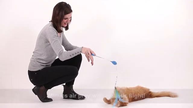 Centro Pet Jackson Galaxy Air Prey Wand смотреть онлайн