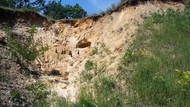 Бью бутылки из флобера "Зброя профи 2,5" смотреть онлайн