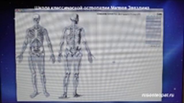Школа Классической Остеопатии Матвея Звездина смотреть онлайн