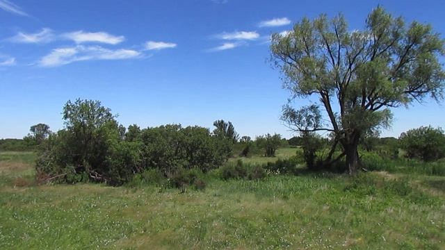 Исчезнувшая деревня Ясная Поляна, Лысогорский район.