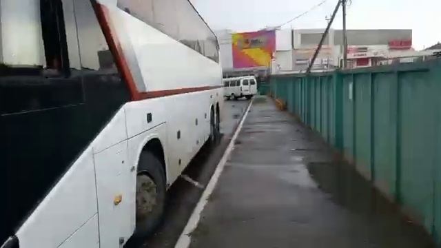 Жители Воронежа не могут уехать из Астрахани домой смотреть онлайн