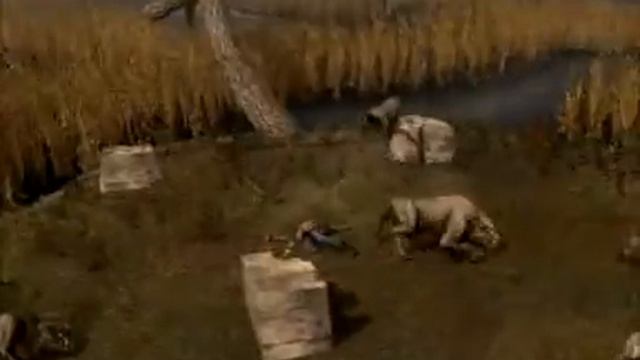 T.e.a.r.s. O.f. смотреть онлайн