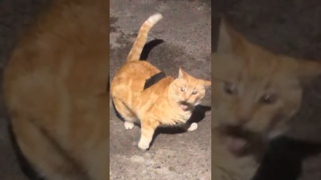 Первый день на работе #shorts