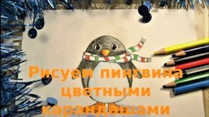 Как нарисовать пингвина карандашами. Открытка с пингвином