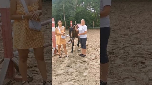 Педагог-психолог о проекте: "Доброе сердце лошади" смотреть онлайн